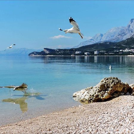 Apartments Sonja Tučepi Εξωτερικό φωτογραφία